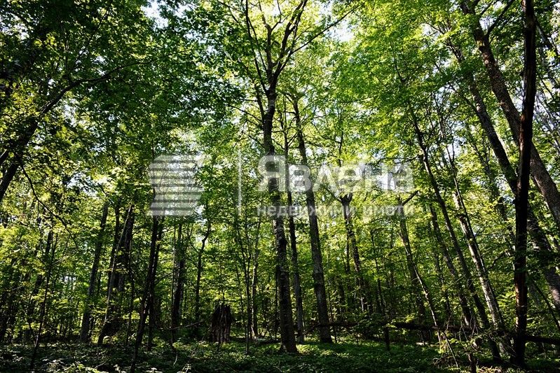 Земеделски имот в Созопол -  кв.м за 75 €/дка - Снимка #1