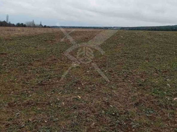 Парцел в с. Скобелево, Област Пловдив - 1328 кв.м за 10 €/кв.м - Снимка #1