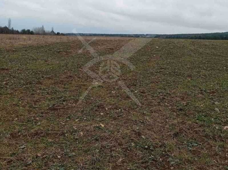 Парцел в с. Скобелево, Област Пловдив - 1328 кв.м за 10 €/кв.м - Снимка #1