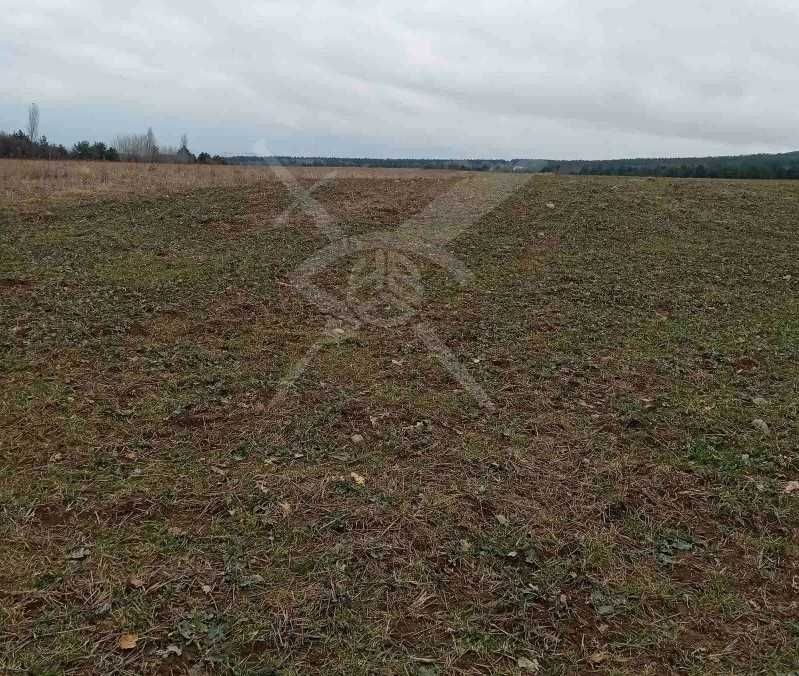 Парцел в с. Скобелево, Област Пловдив - 1328 кв.м за 10 €/кв.м - Снимка #1