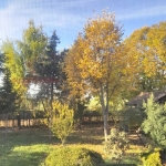 Парцел в с. Житен, Област София-град - 564 кв.м за 213 €/кв.м - Снимка #1