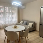 Дава се под наем Двустаен апартамент в Пловдив, Център - 50 кв.м за 700 € - Снимка #1