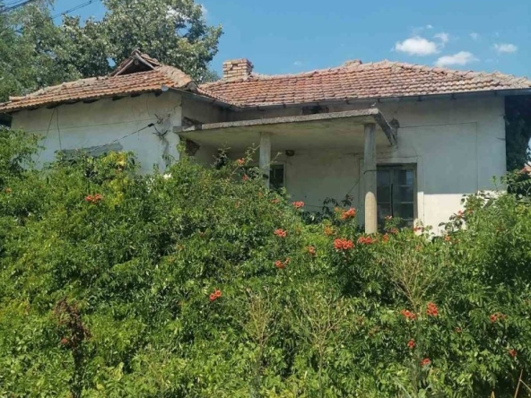 Къща в с. Горни Дъбник, Област Плевен - 50 кв.м за 459 €/кв.м - Снимка #1