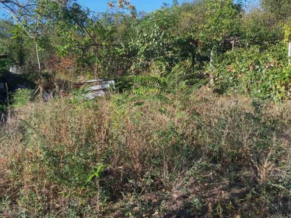 Парцел в с. Върбица, Област Плевен - 1000 кв.м за 12 €/кв.м - Снимка #1