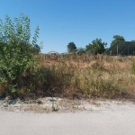 Парцел в Тръстеник - 1300 кв.м за 9 €/кв.м - Снимка #1