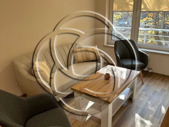 Дава се под наем Двустаен апартамент в София, Стрелбище - 55 кв.м за 550 € - Снимка #1