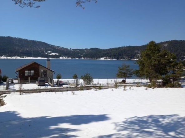 Парцел в Батак - 2848 кв.м за 31 €/кв.м - Снимка #1