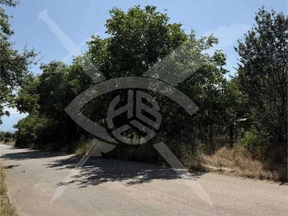 Парцел в Бухово - 2534 кв.м за 46 €/кв.м - Снимка #1