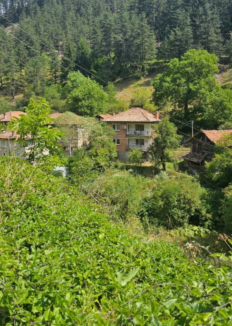 Къща в с. Соколовци, Област Смолян - 286 кв.м за 140 €/кв.м - Снимка #1