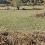 Парцел в с. Бистрица, Област София-град - 1022 кв.м за 70 €/кв.м - Снимка #1