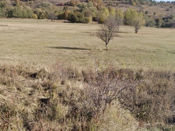 Парцел в с. Бистрица, Област София-град - 3100 кв.м за 70 €/кв.м - Снимка #1