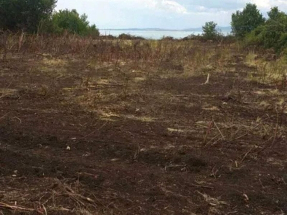 Парцел в Бургас, Сарафово - 2000 кв.м за 115 €/кв.м - Снимка #1