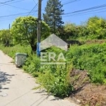 Парцел в Цар Калоян - 5000 кв.м за 21 €/кв.м - Снимка #1