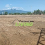 Парцел в Асеновград - 15514 кв.м за 35 €/кв.м - Снимка #1