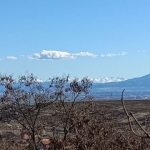 Парцел в с. Кътина, Област София-град - 1625 кв.м за 80 €/кв.м - Снимка #1