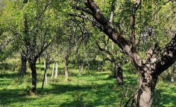 Земеделски имот в с. Гложене, Област Ловеч -  кв.м за 5100 €/дка - Снимка #1