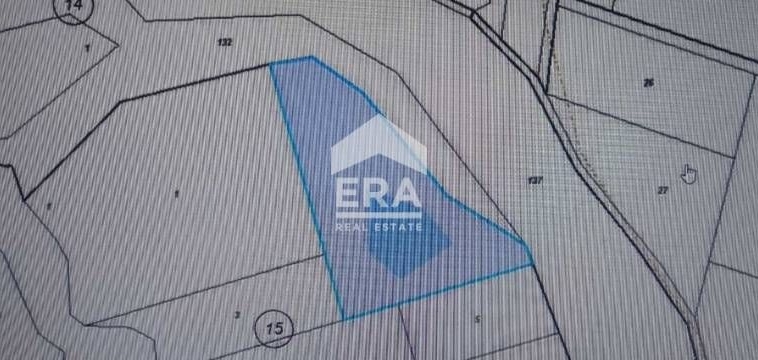 Парцел в с. Радиево, Област Хасково - 8746 кв.м за 1 €/кв.м - Снимка #1