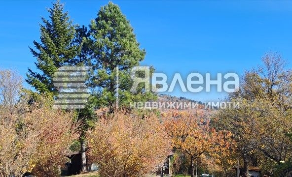 Парцел в с. Мала Раковица, Област София-област - 600 кв.м за 34 €/кв.м - Снимка #1