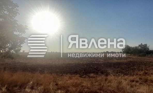 Парцел в с. Крумово, Област Пловдив - 1212 кв.м за 55 €/кв.м - Снимка #1