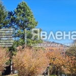 Парцел в с. Мала Раковица, Област София-област - 600 кв.м за 67 €/кв.м - Снимка #1