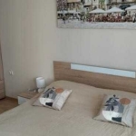 Дава се под наем Двустаен апартамент в София, Бъкстон - 80 кв.м за 550 € - Снимка #1