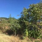 Парцел в Хисаря - 483 кв.м за 38 €/кв.м - Снимка #1