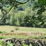 Парцел в с. Гложене, Област Ловеч - 1600 кв.м за 16 €/кв.м - Снимка #1