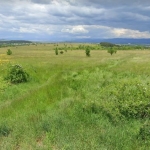 Парцел в Банкя - 1900 кв.м за 40 €/кв.м - Снимка #1