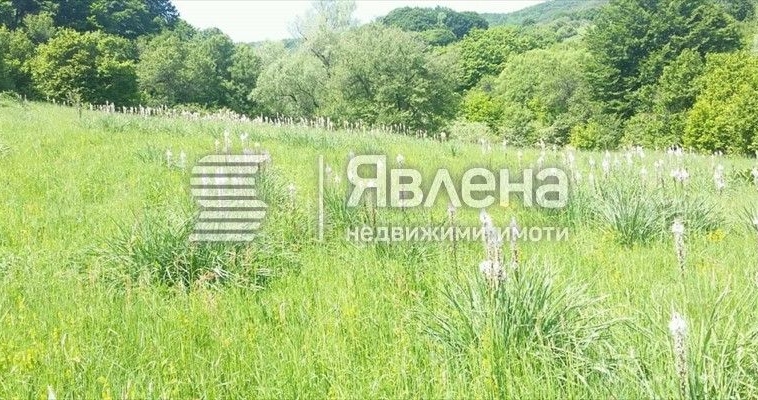 Земеделски имот в с. Сушина, Област Шумен -  кв.м за 5 €/дка - Снимка #1