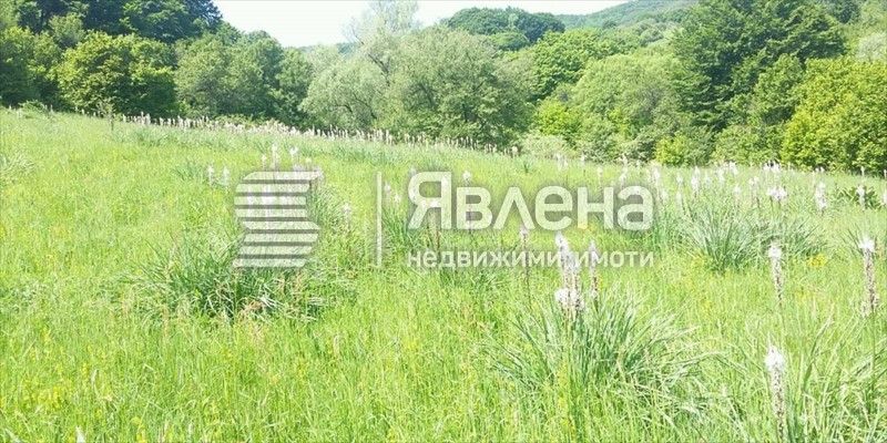 Парцел в с. Цонево, Област Варна - 510 кв.м за 30 €/кв.м - Снимка #1