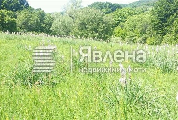 Парцел в с. Цонево, Област Варна - 510 кв.м за 30 €/кв.м - Снимка #1