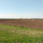 Земеделски имот в с. Добротица, Област Силистра -  кв.м за 210 €/дка - Снимка #1