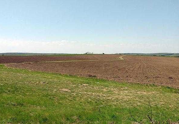 Земеделски имот в с. Добротица, Област Силистра -  кв.м за 210 €/дка - Снимка #1