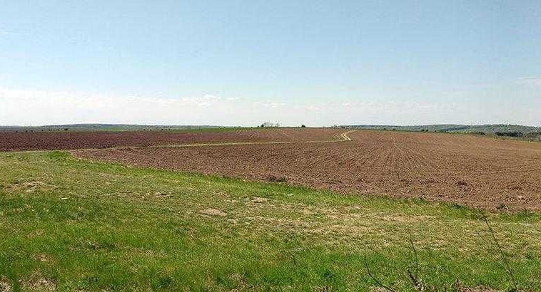 Земеделски имот в с. Добротица, Област Силистра -  кв.м за 210 €/дка - Снимка #1