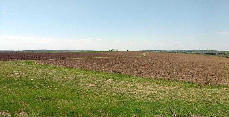 Земеделски имот в с. Добротица, Област Силистра -  кв.м за 210 €/дка - Снимка #1