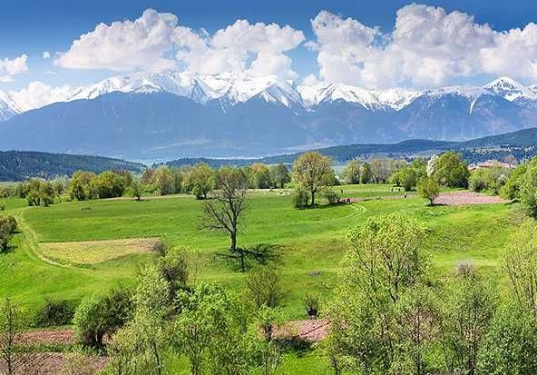 Парцел в с. Баня, Област Благоевград - 4804 кв.м за 5 €/кв.м - Снимка #1