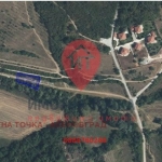 Парцел в Асеновград - 1319 кв.м за 12 €/кв.м - Снимка #1