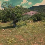 Парцел в Карлово - 20800 кв.м за 8 €/кв.м - Снимка #1