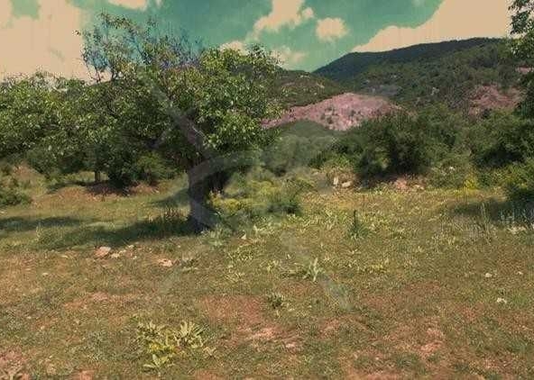 Парцел в Карлово - 20800 кв.м за 8 €/кв.м - Снимка #1