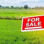 Парцел в Димитровград - 416 кв.м за 31 €/кв.м - Снимка #1