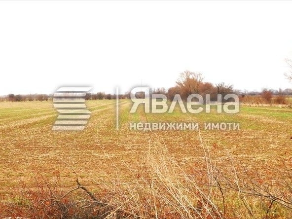 Земеделски имот в с. Мрамор, Област София-град -  кв.м за 61 €/дка - Снимка #1