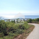 Парцел в с. Осеново, Област Варна - 4230 кв.м за 45 €/кв.м - Снимка #1