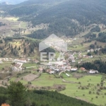 Парцел в с. Ягодина, Област Смолян - 916 кв.м за 35 €/кв.м - Снимка #1