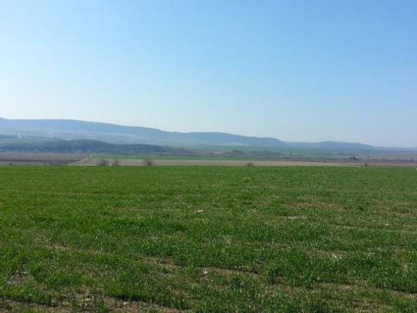 Парцел в с. Александрово, Област Бургас - 9971 кв.м за 22 €/кв.м - Снимка #1