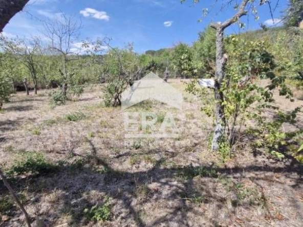 Парцел в с. Слънчево, Област Варна - 609 кв.м за 33 €/кв.м - Снимка #1