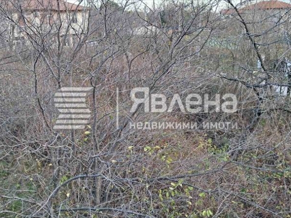 Къща в Варна, м-т Боровец - север - 916 кв.м за 80 €/кв.м - Снимка #1