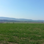 Парцел в с. Александрово, Област Бургас - 9971 кв.м за 12 €/кв.м - Снимка #1