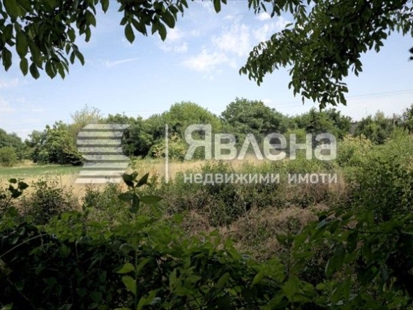 Парцел в с. Дълбоки, Област Стара Загора - 1200 кв.м за 18 €/кв.м - Снимка #1