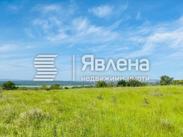 Парцел в с. Бенковски, Област Варна - 4500 кв.м за 30 €/кв.м - Снимка #1