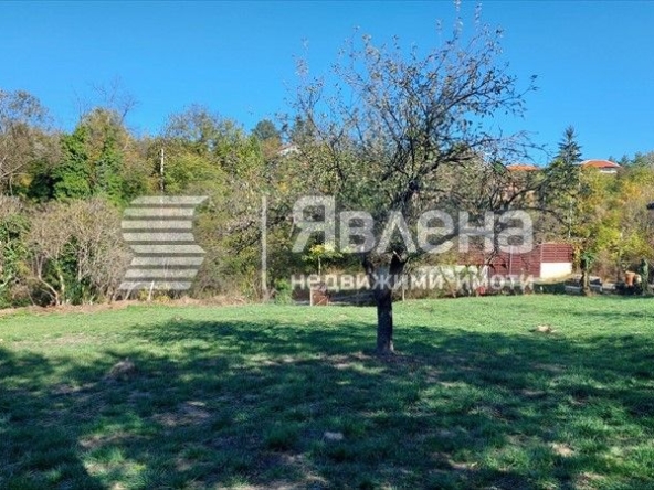 Парцел в с. Пауново, Област София-област - 1154 кв.м за 43 €/кв.м - Снимка #1